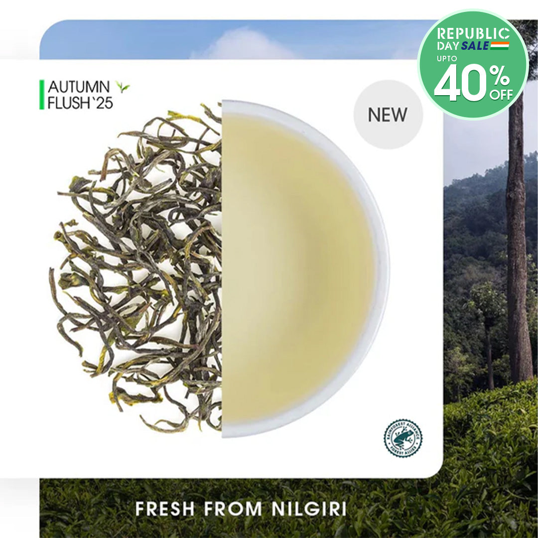 Nilgiri Glendale Autumn Twirl Green