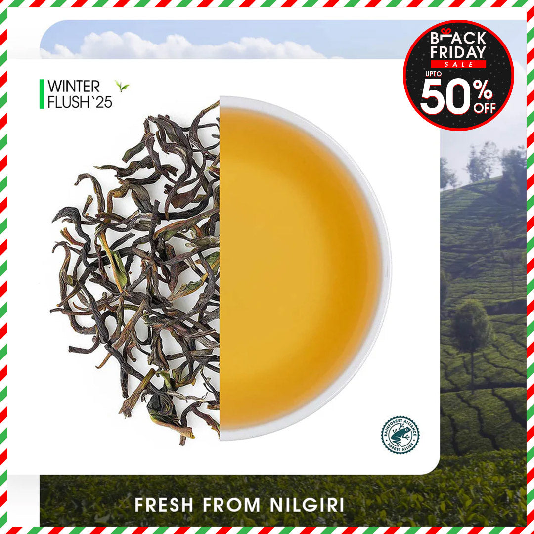 Nilgiri Billimalai Winter Frost Black