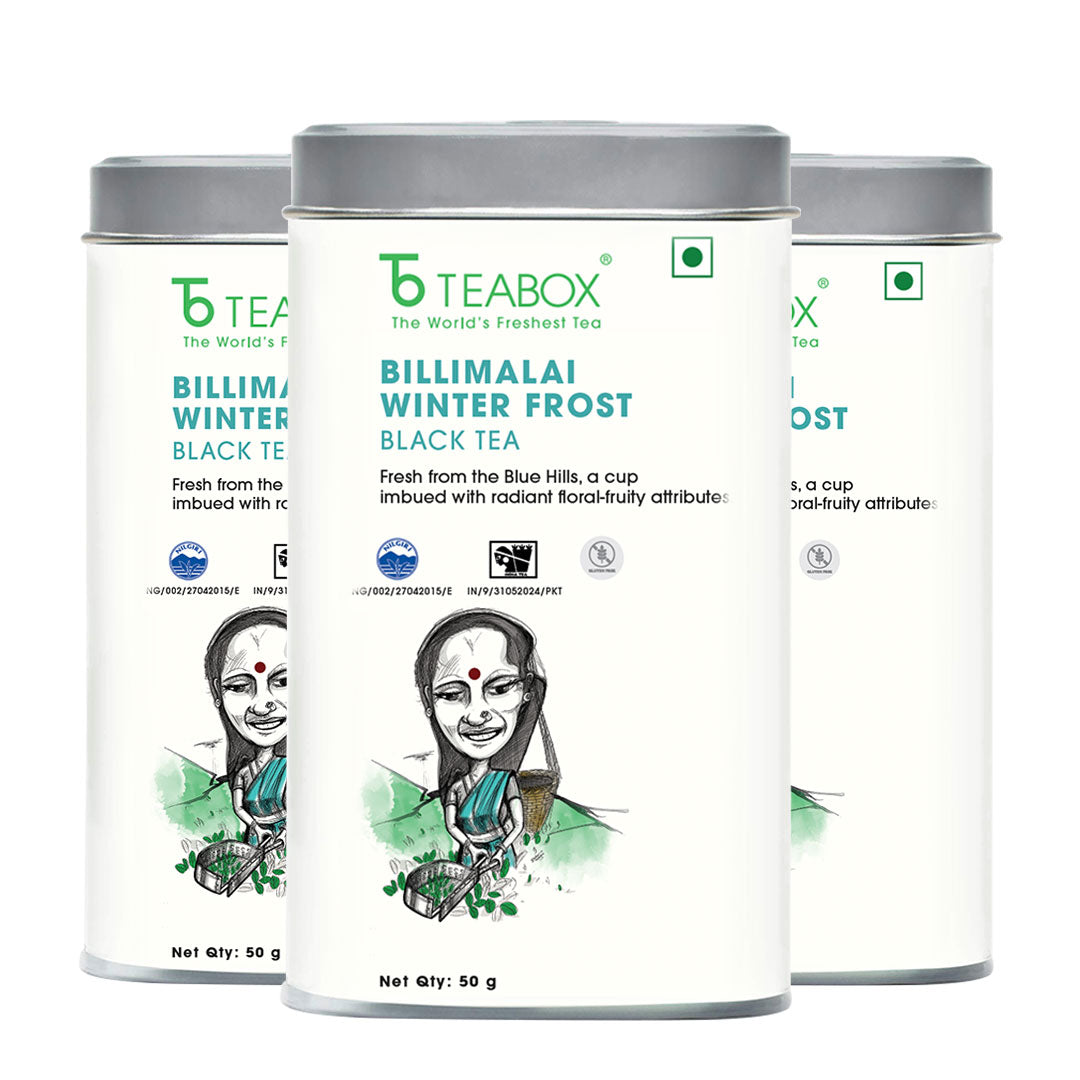 Nilgiri Billimalai Winter Frost Black