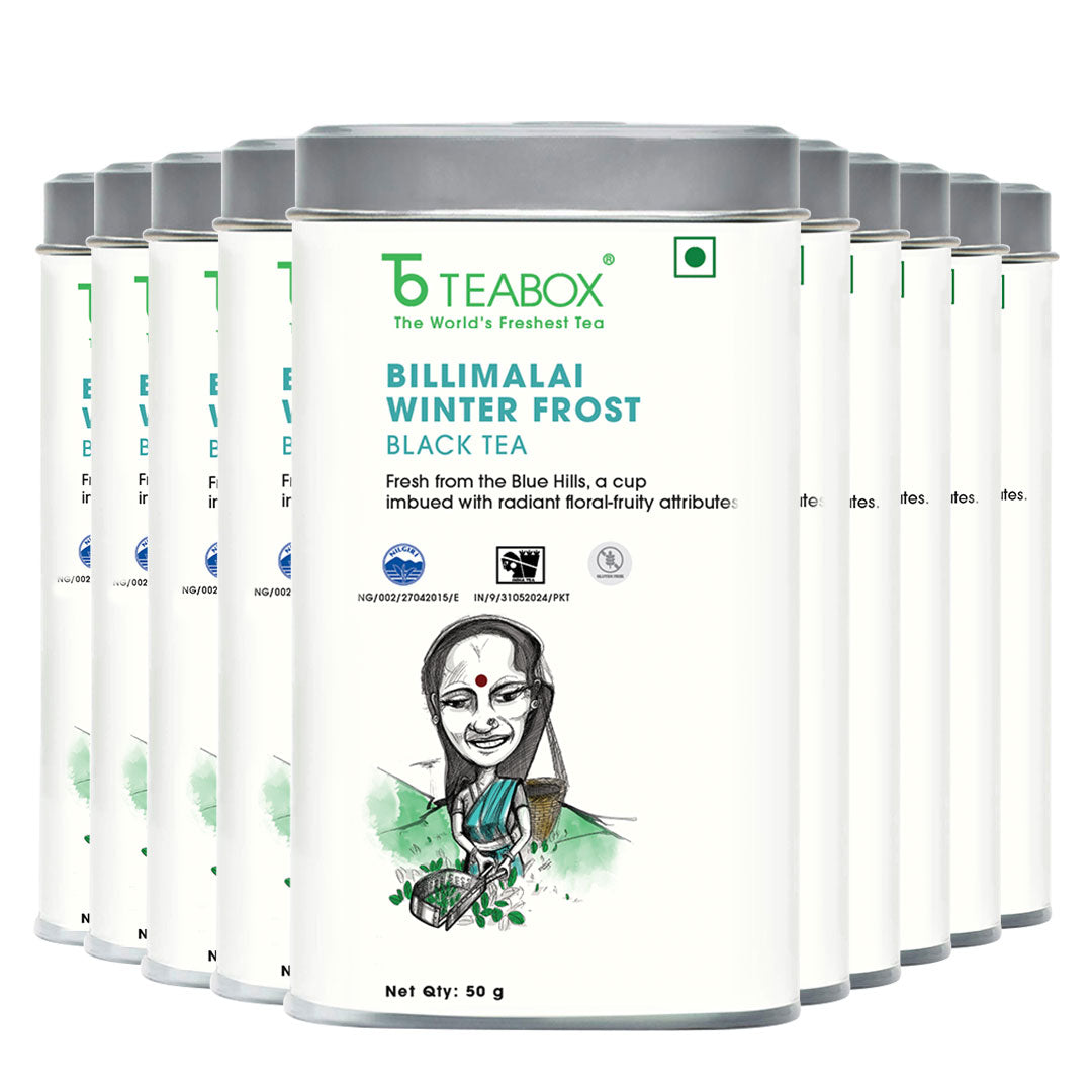 Nilgiri Billimalai Winter Frost Black