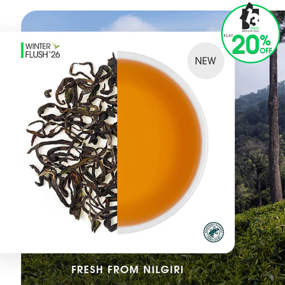 Nilgiri Glendale Winter Frost Twirl Black