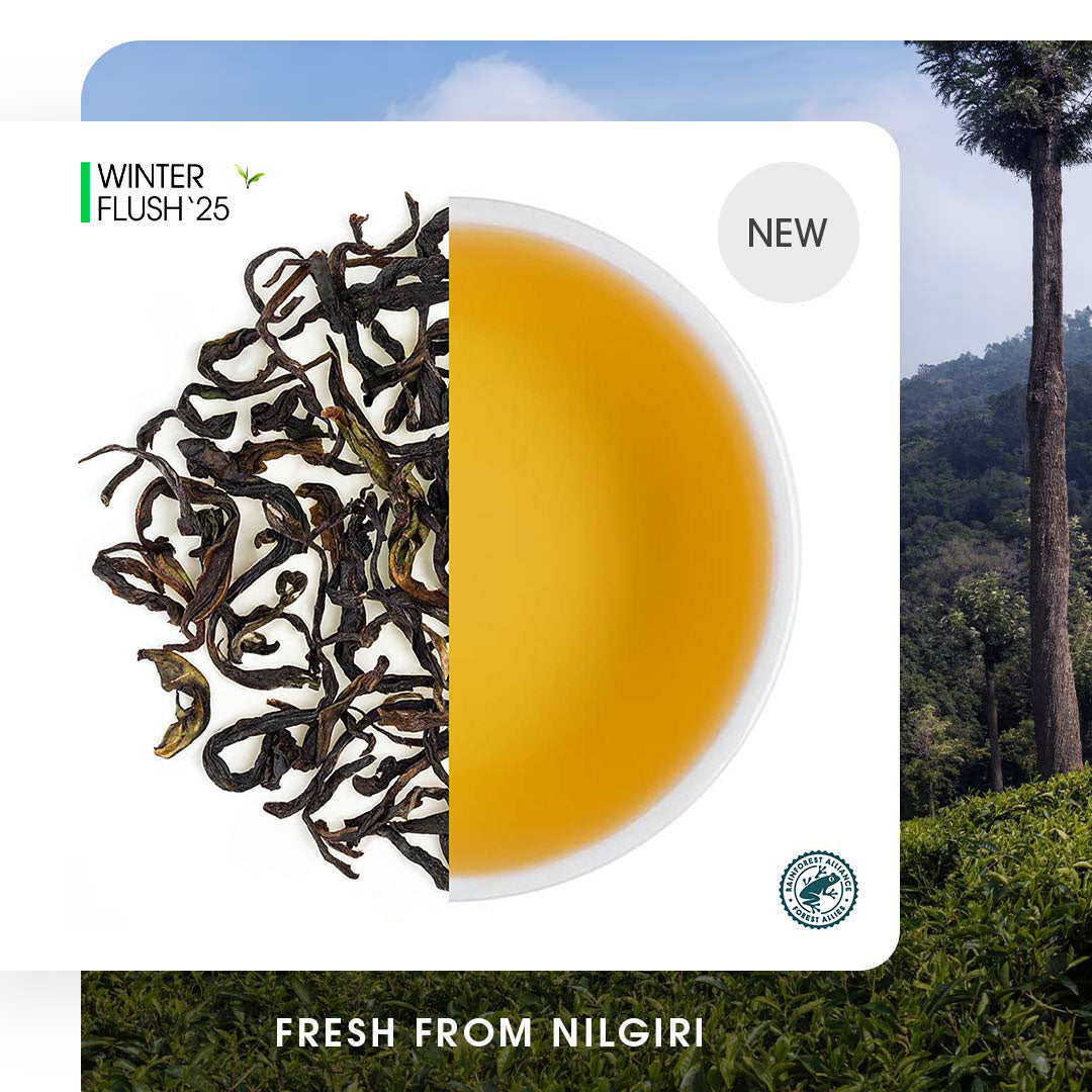 Nilgiri Glendale Winter Frost Twirl Black