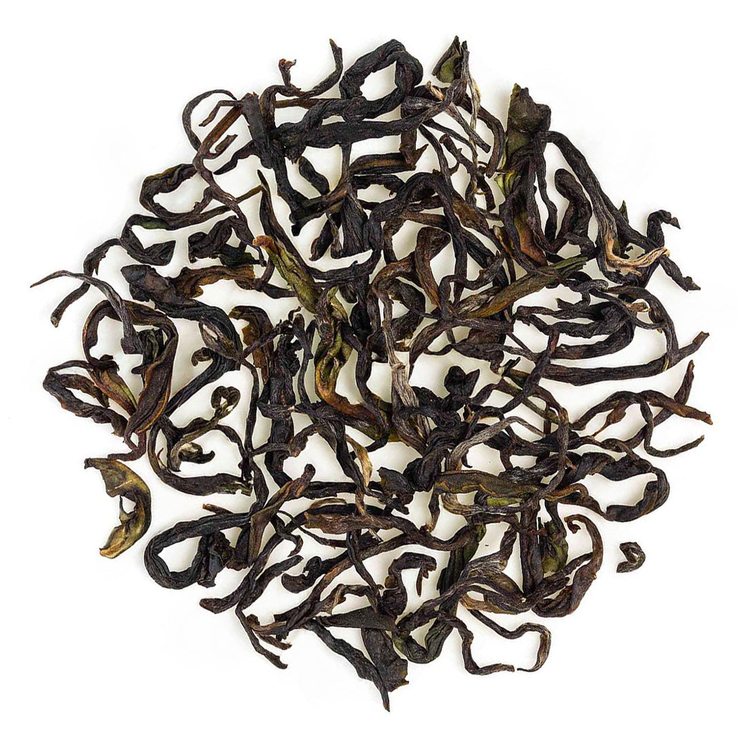 Nilgiri Glendale Winter Frost Twirl Black