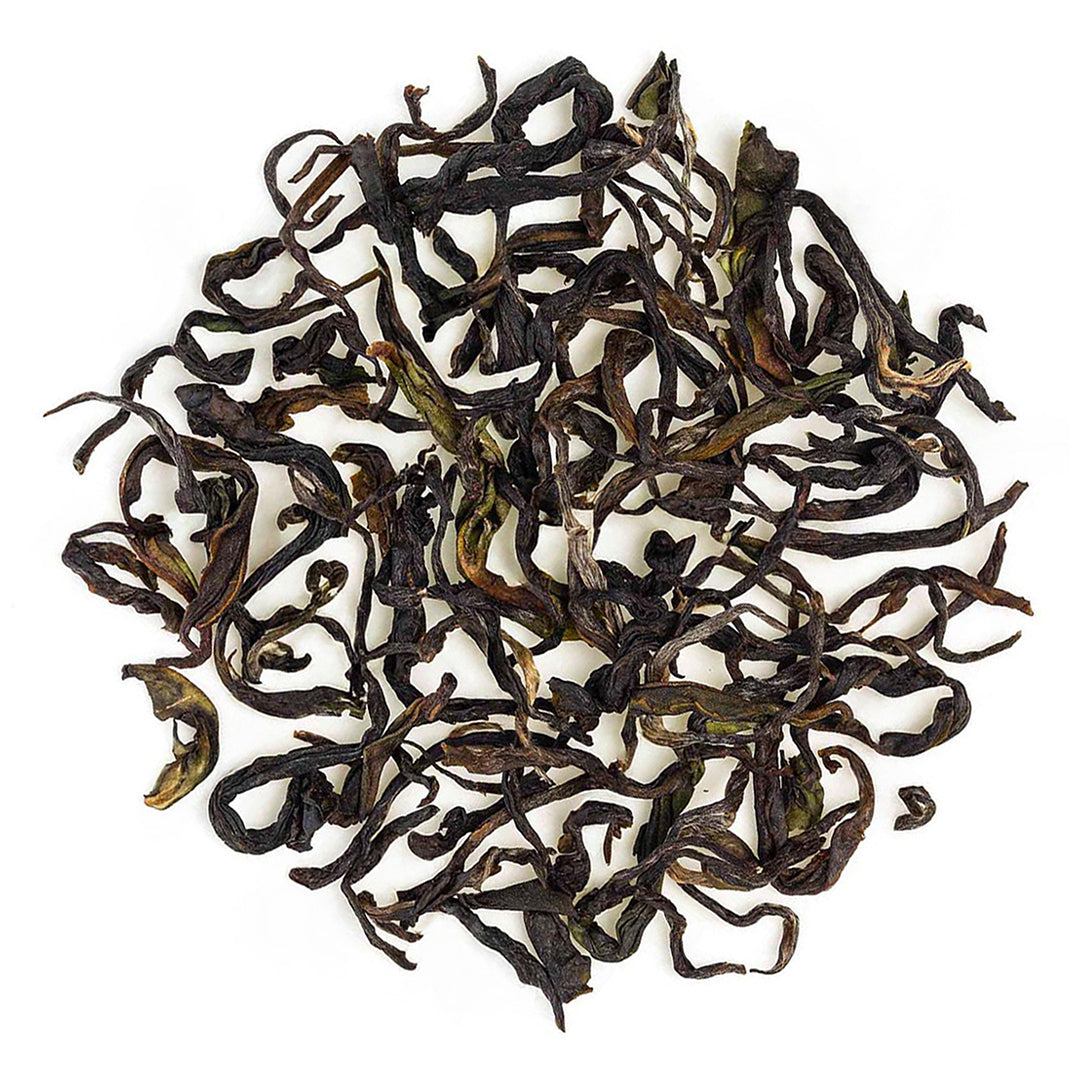 Nilgiri Glendale Winter Frost Twirl Black