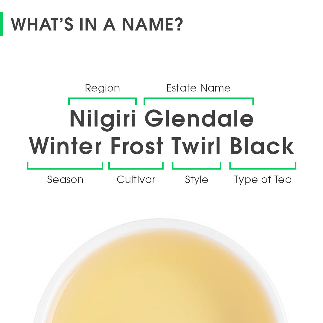 Nilgiri Glendale Winter Frost Twirl Black