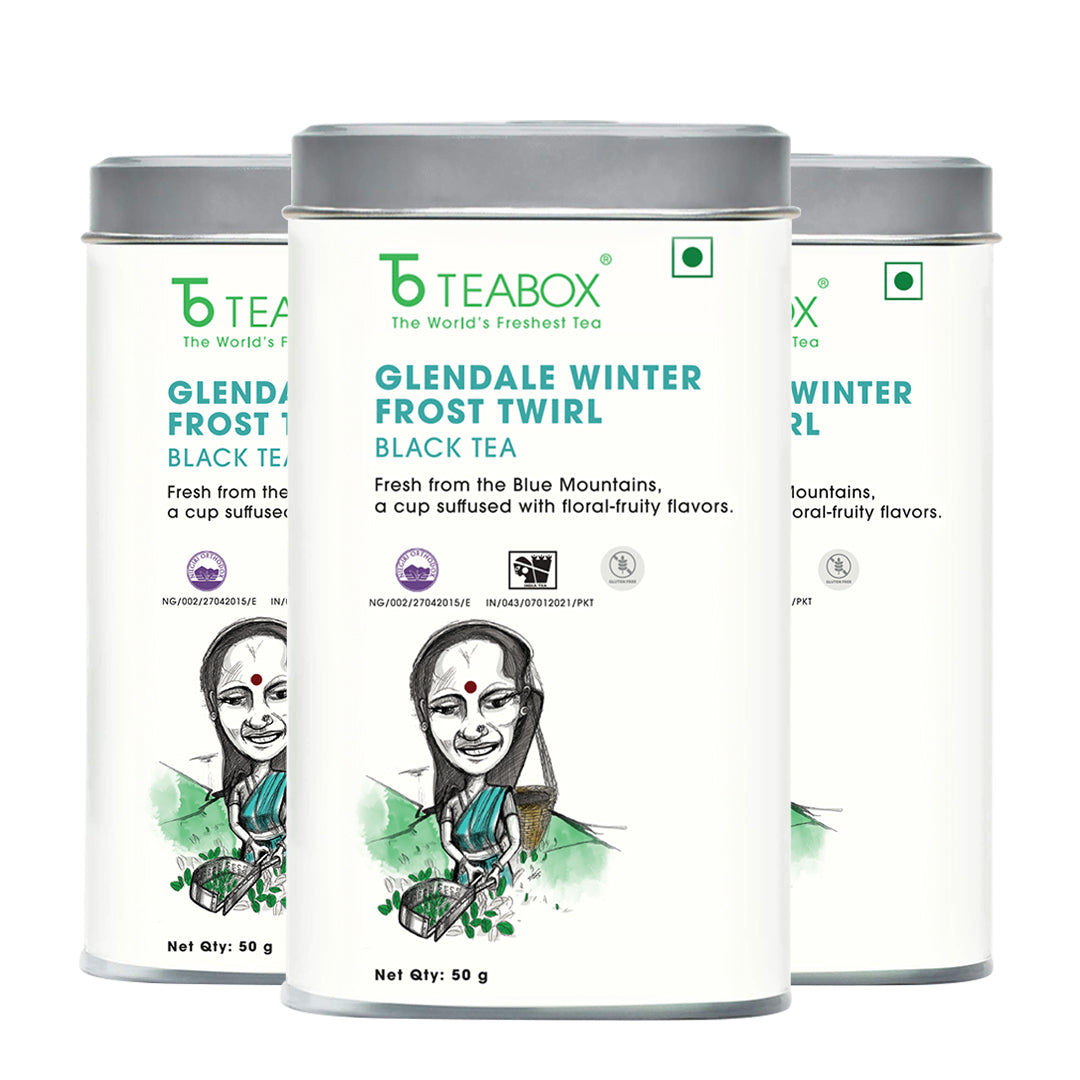 Nilgiri Glendale Winter Frost Twirl Black