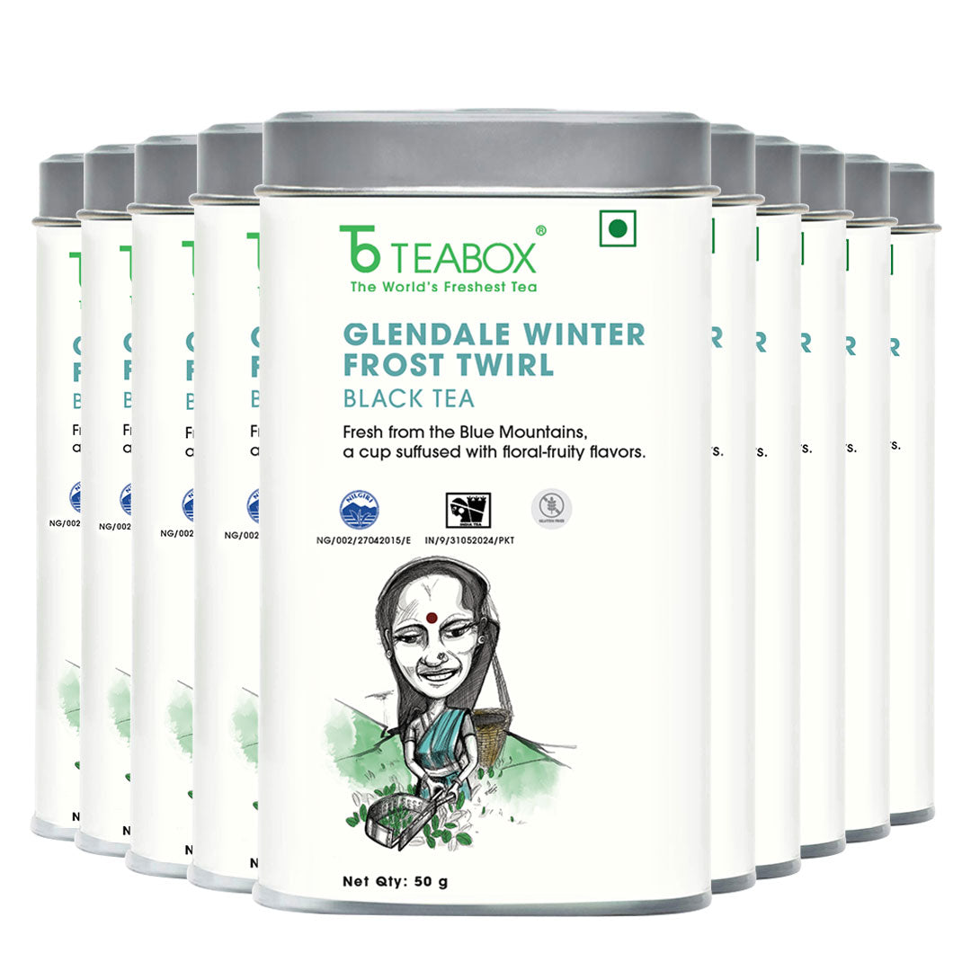 Nilgiri Glendale Winter Frost Twirl Black