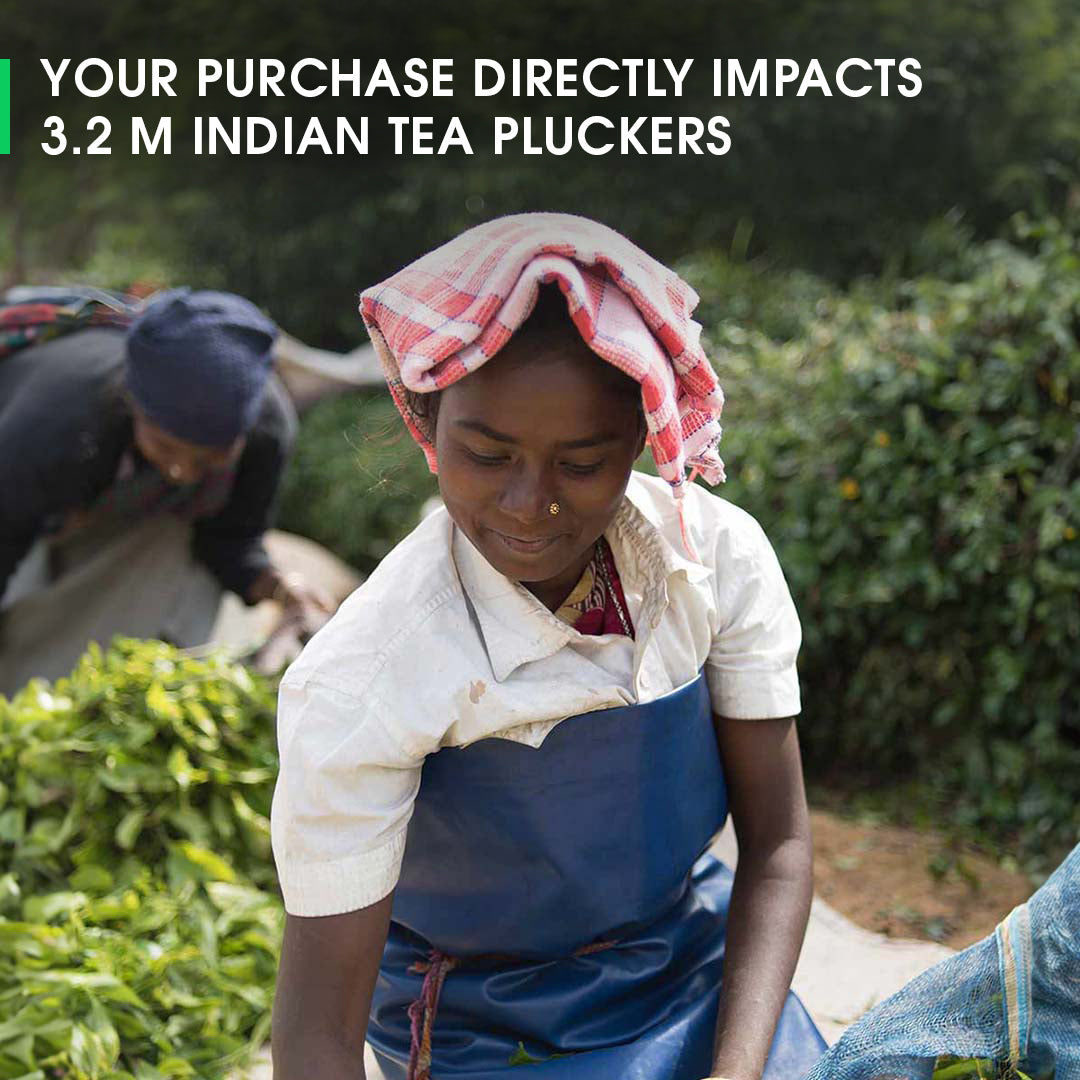 Nilgiri Havukal Winter Frost Black