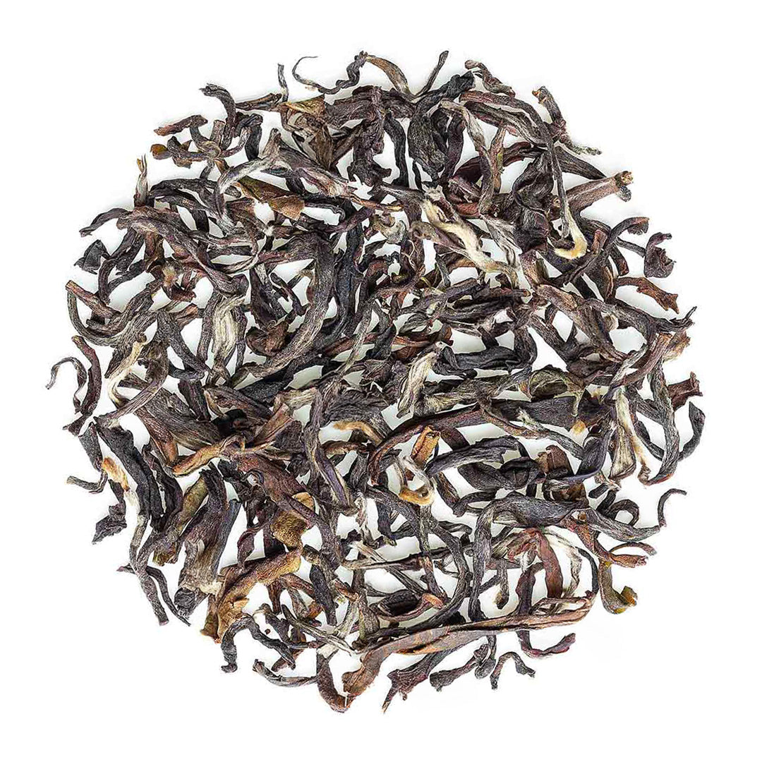 Sikkim Temi Summer Chinary Black