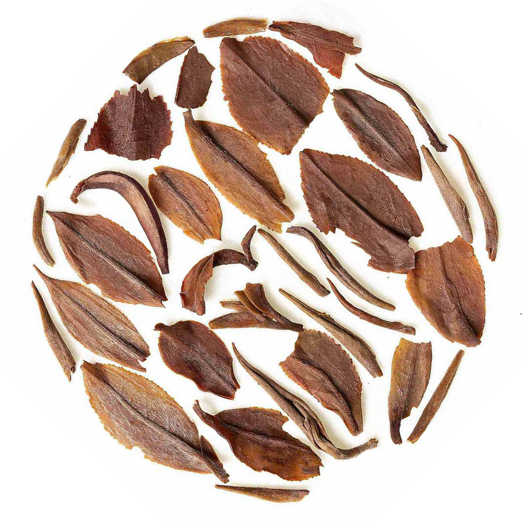 Sikkim Temi Summer Chinary Black