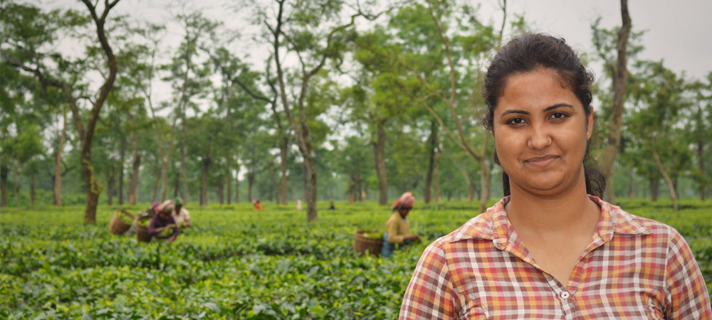 What a Progressive Tea Industry Needs