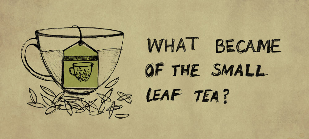 What became of the small leaf tea?