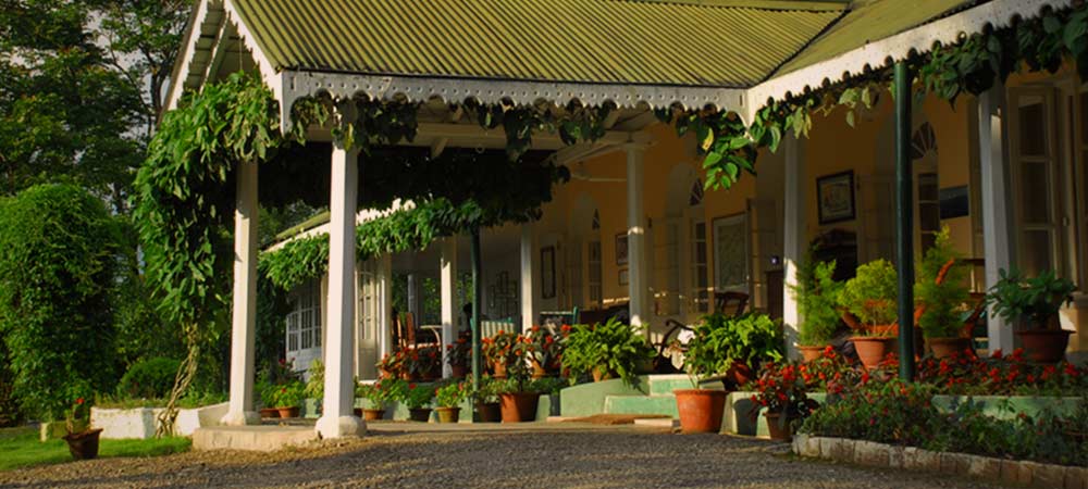Life on the tea estate