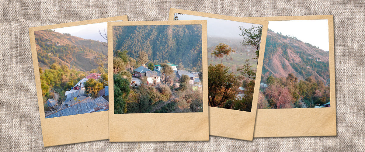 Missives from Bir: Leaving the city