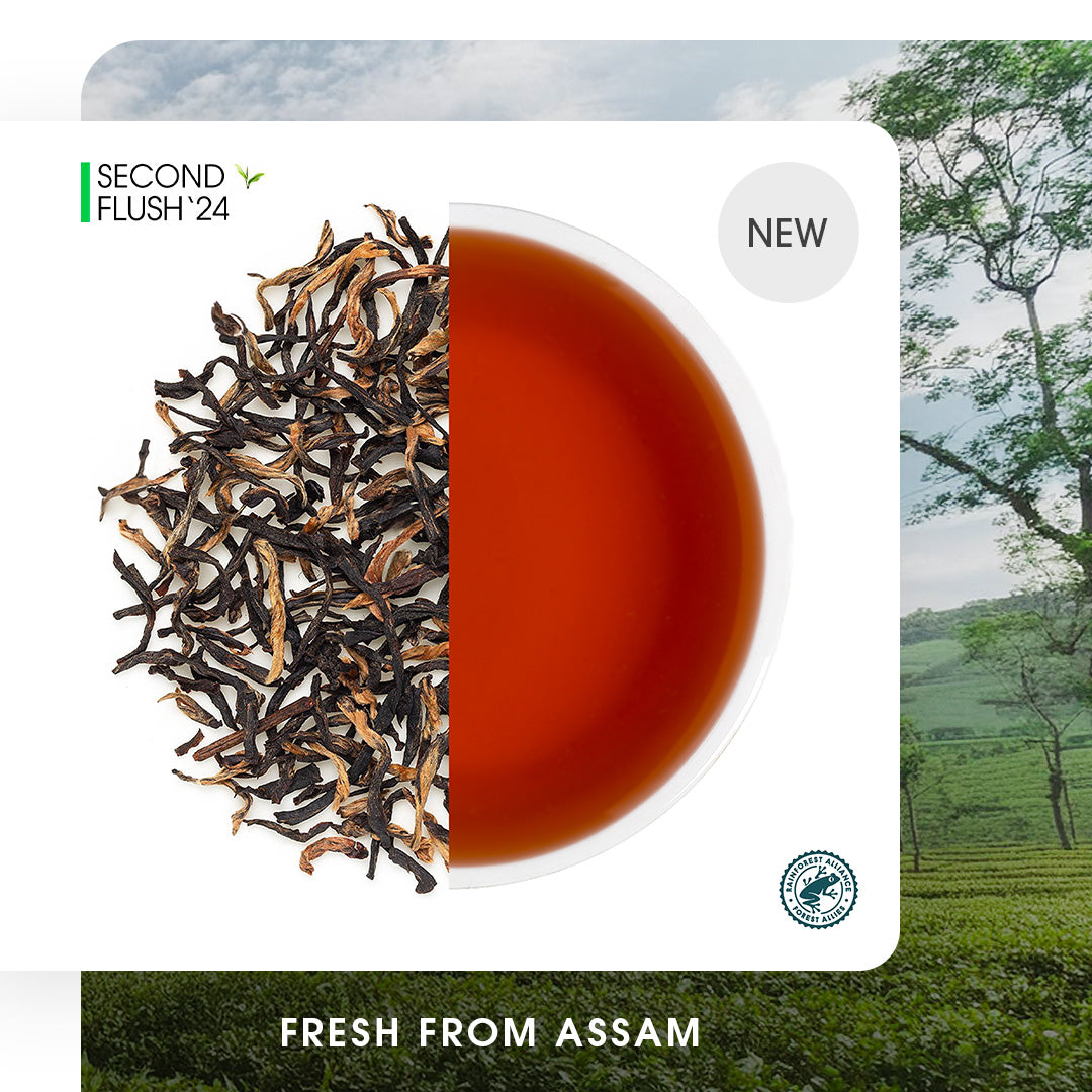 10 Best Assam Teas Of 2024 _ 11 Largest And Beautiful Tea Gardens Of ...