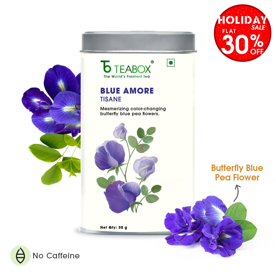 Butterfly Blue Pea Flower (Blue Amore)