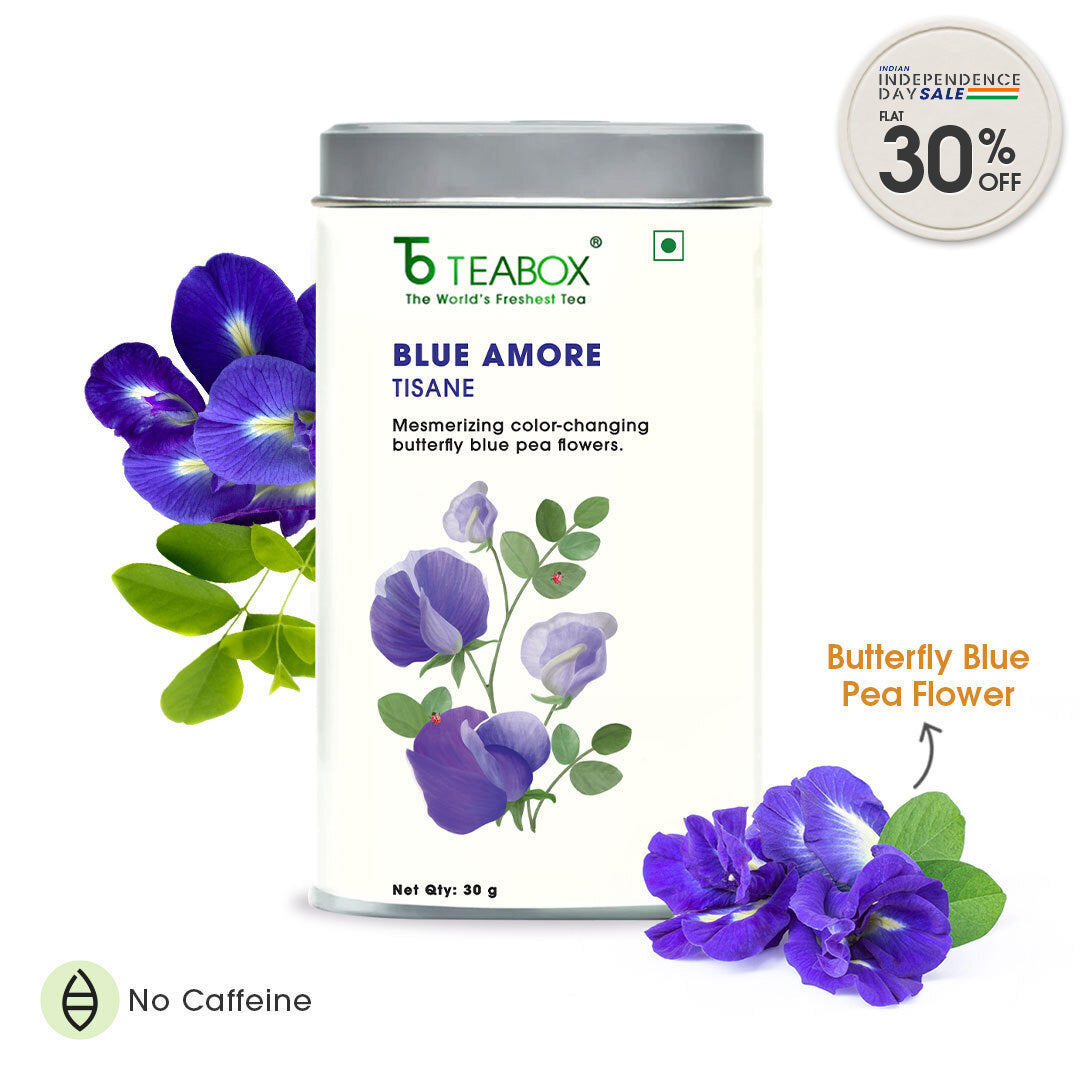 Butterfly Blue Pea Flower (Blue Amore)