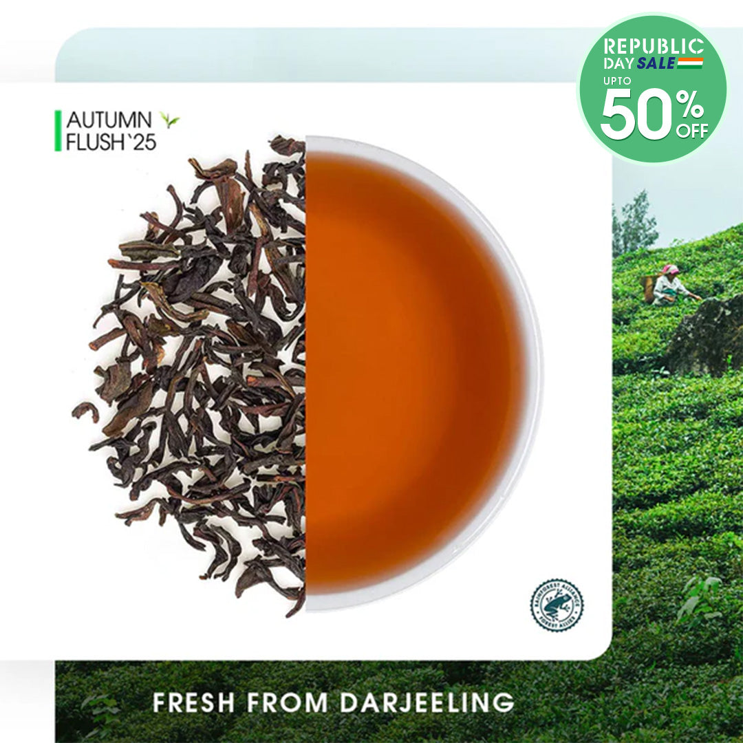 Darjeeling Jungpana Autumn Chinary Black