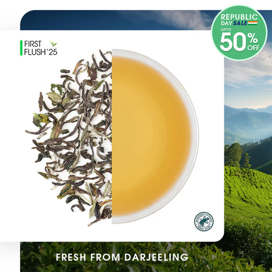 Darjeeling Thurbo Spring Chinary Black