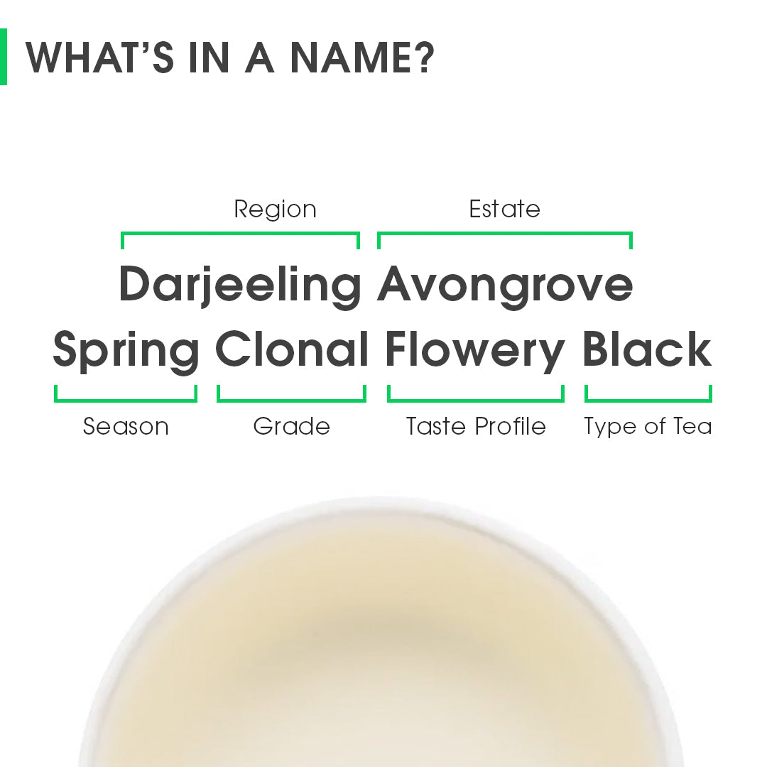 Buy 2026 Darjeeling Avongrove Spring Clonal Flowery Black