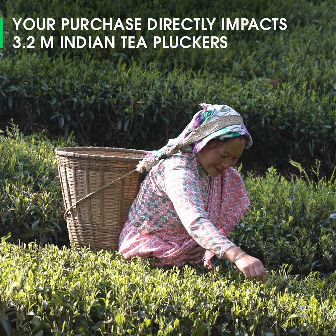 Darjeeling Balasun Summer Clonal Black