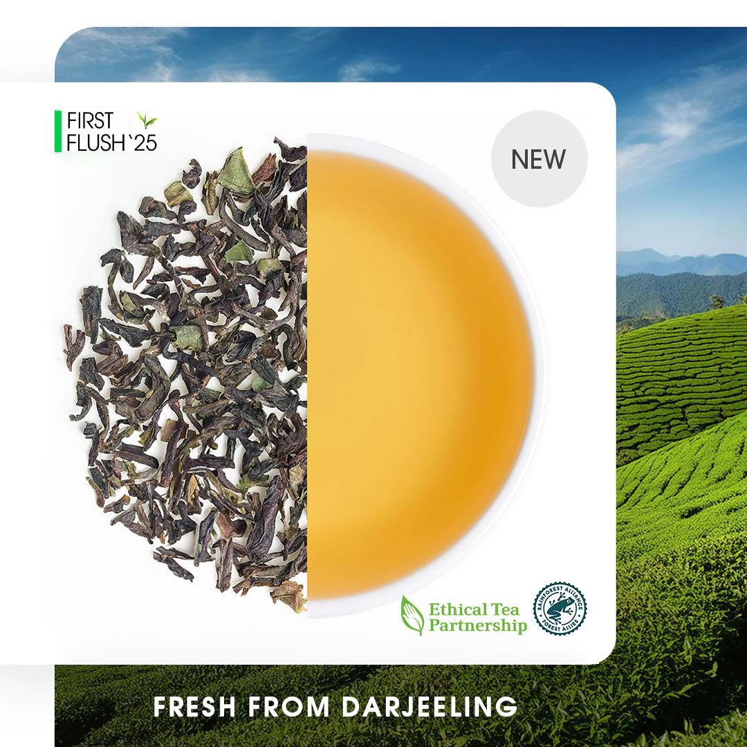 Buy 2025 Darjeeling Castleton Spring Chinary Black Tea Online | Teabox