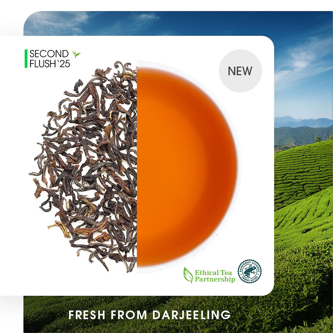 Buy 2025 Darjeeling Castleton Summer Muscatel Black Tea Online | Teabox