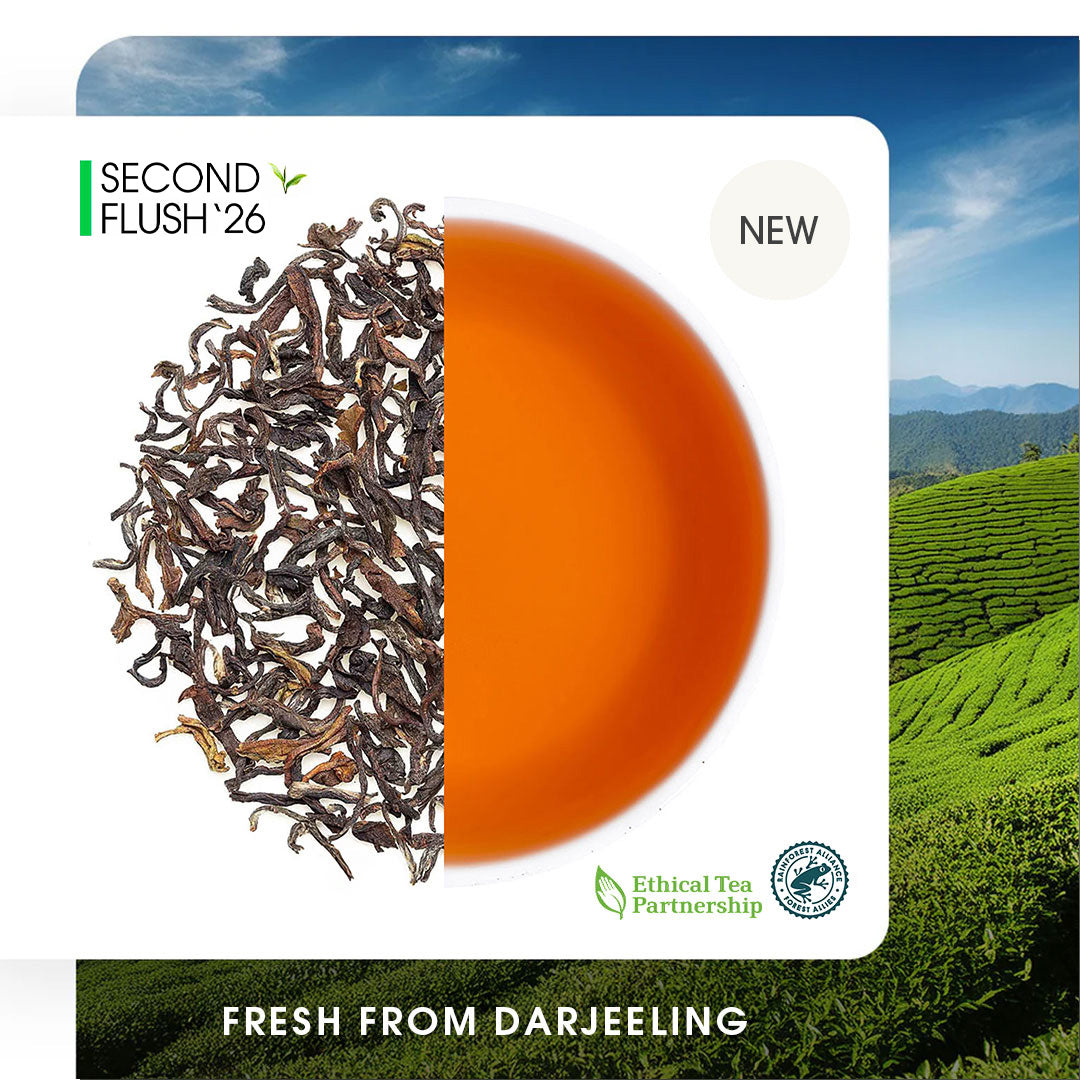 Buy Darjeeling Tea Online | 2026 Harvest | Teabox