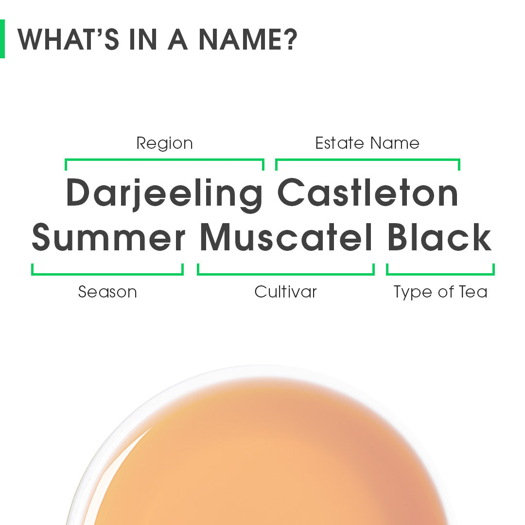 Buy 2024 Darjeeling Castleton Summer Muscatel Black Tea Online | Teabox
