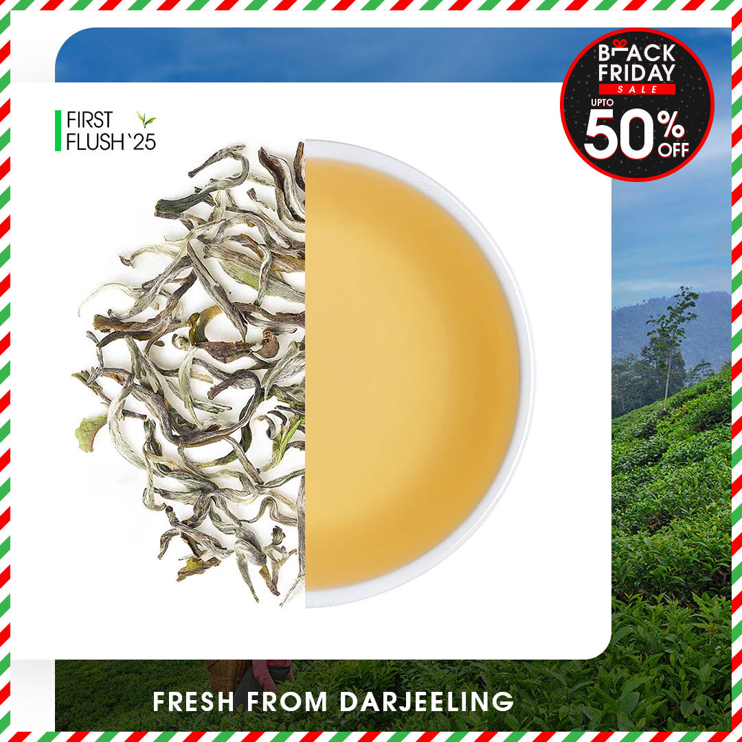 Darjeeling Exotic Moonlight White