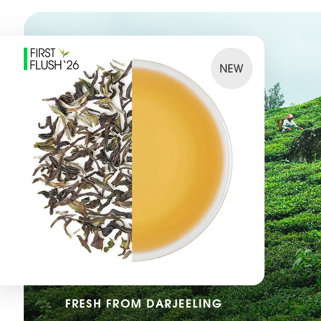 Darjeeling Jungpana Spring Chinary Black
