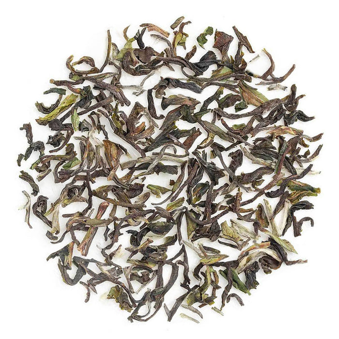 Buy 2026 Darjeeling Jungpana Spring Chinary Black Tea Online | Teabox