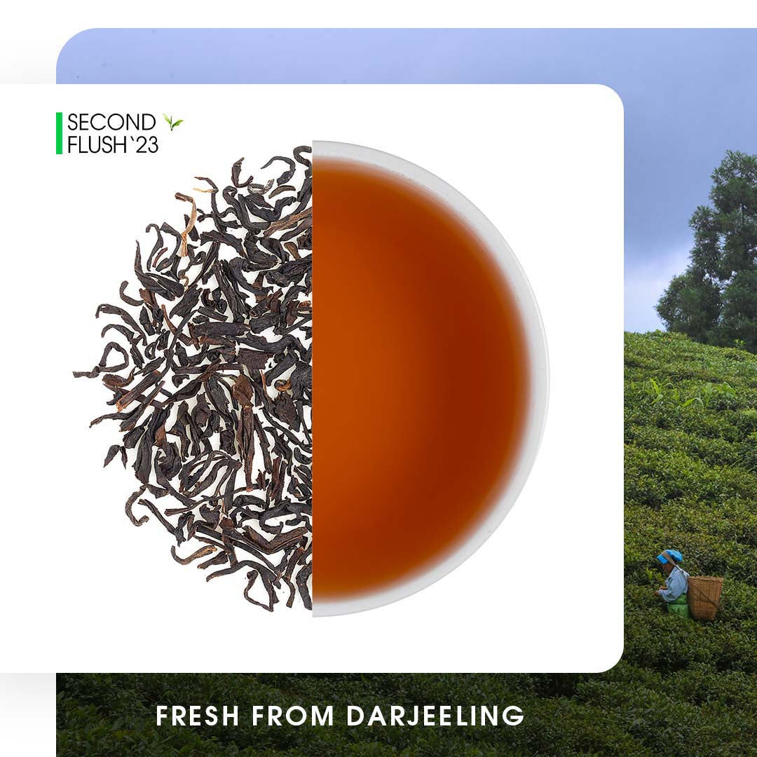 Darjeeling Lopchu Flowery Orange Pekoe Black