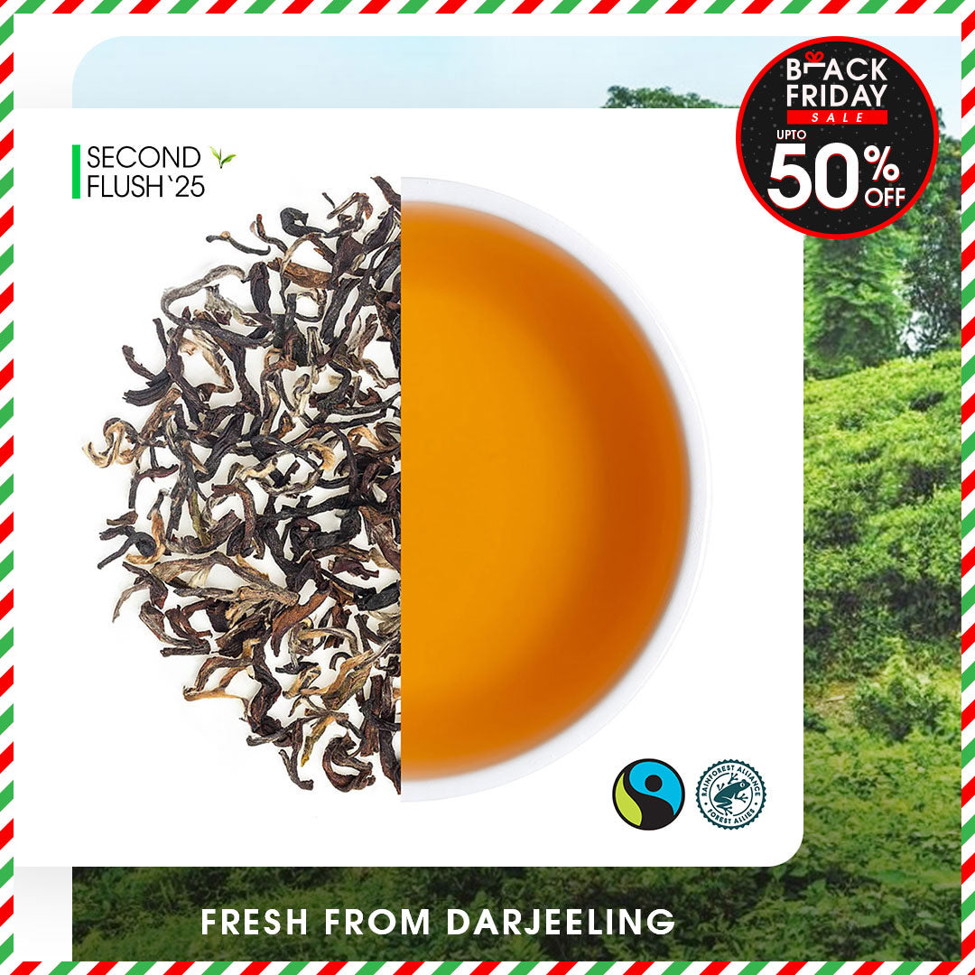 Darjeeling Makaibari Summer Clonal Black