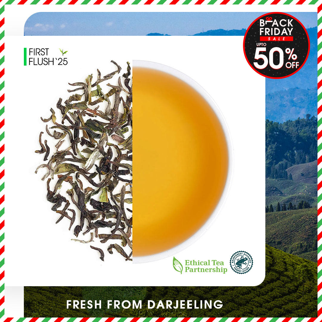 Darjeeling Margaret's Hope Spring Chinary Black