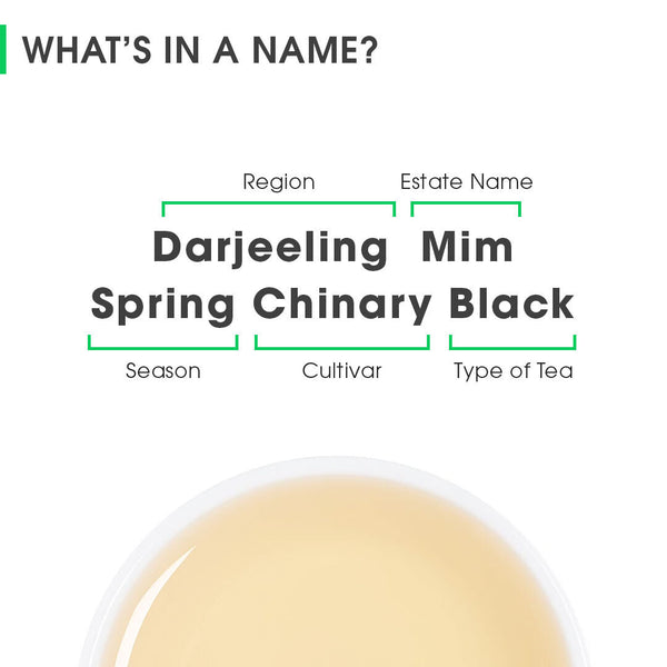 Darjeeling Mim Spring Chinary Black