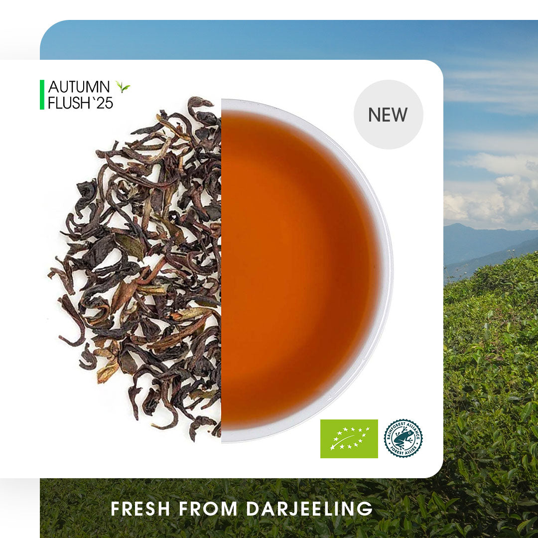 Buy Darjeeling Tea Online | 2026 Harvest | Teabox