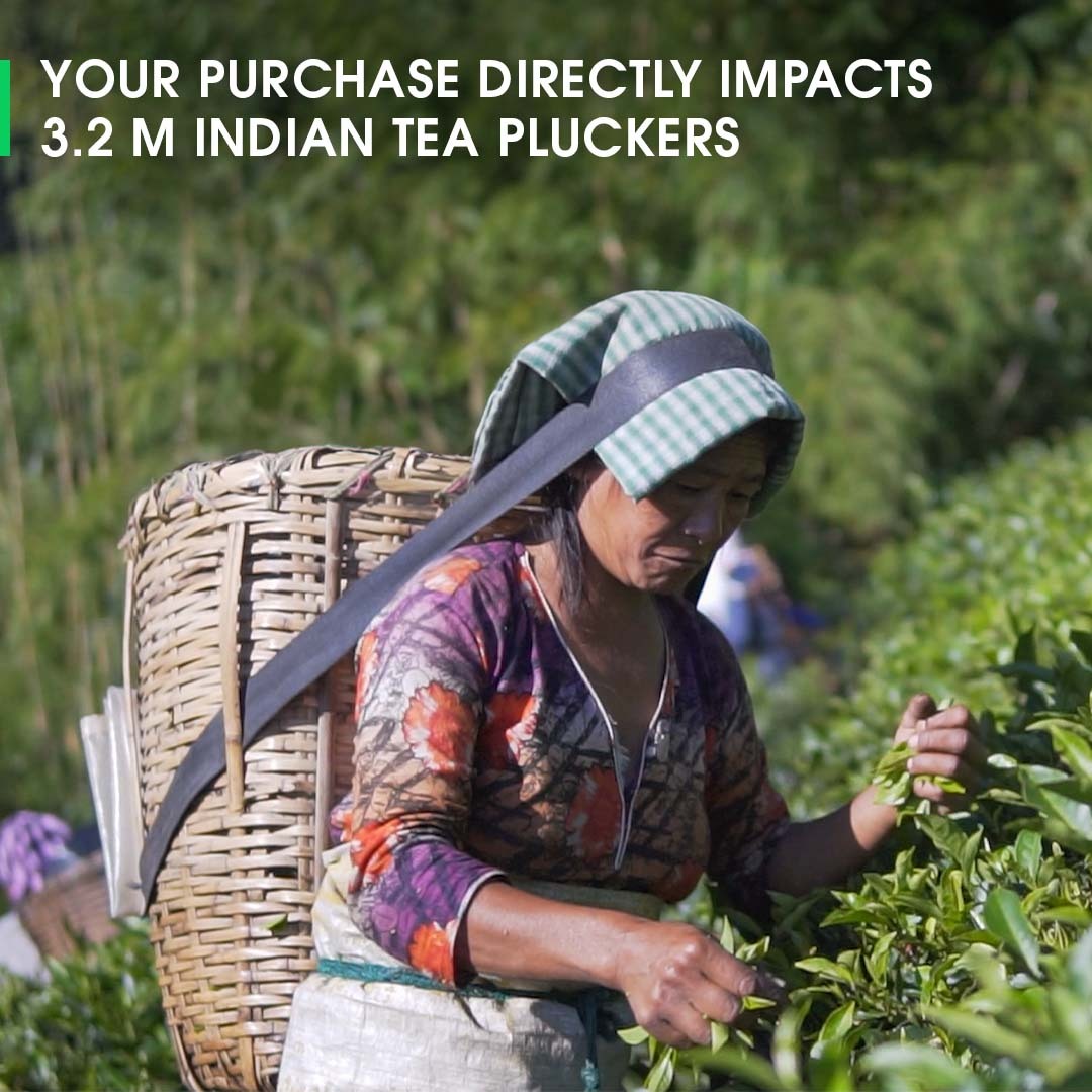 Darjeeling Okayti Autumn Chinary Black