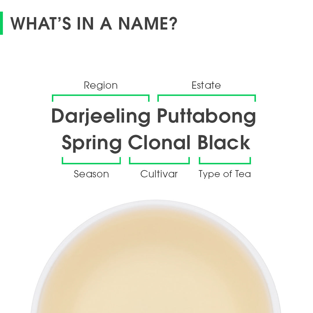 Darjeeling Puttabong Spring Clonal Black