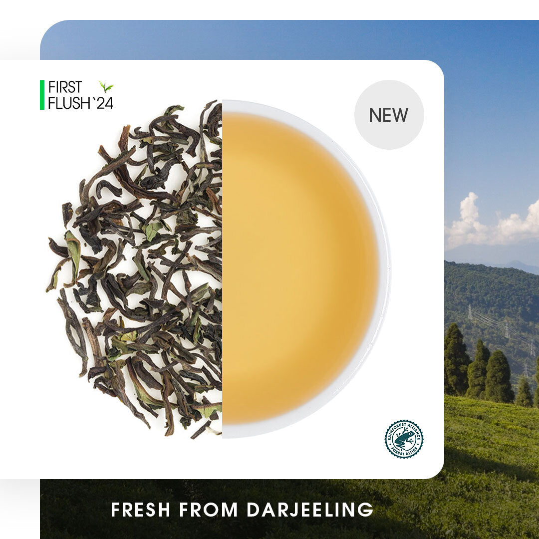 Buy Black Tea Leaves Online | 2024 Harvest | Teabox