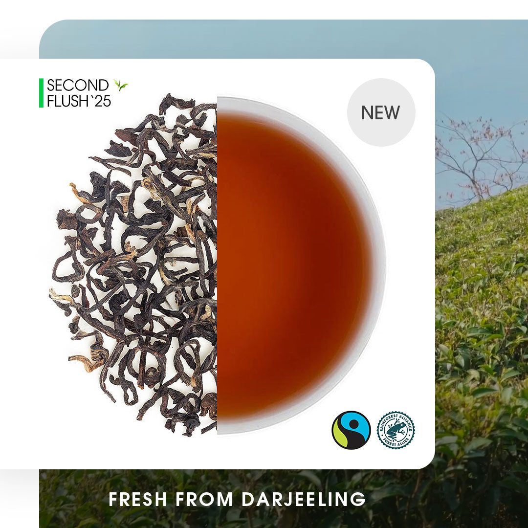 Buy 2025 Darjeeling Risheehat Summer Chinary Black Tea Online | Teabox