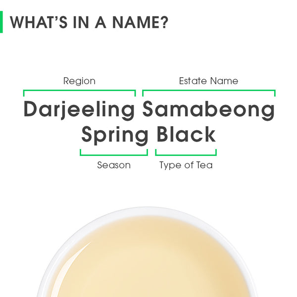 Darjeeling Samabeong Spring Black