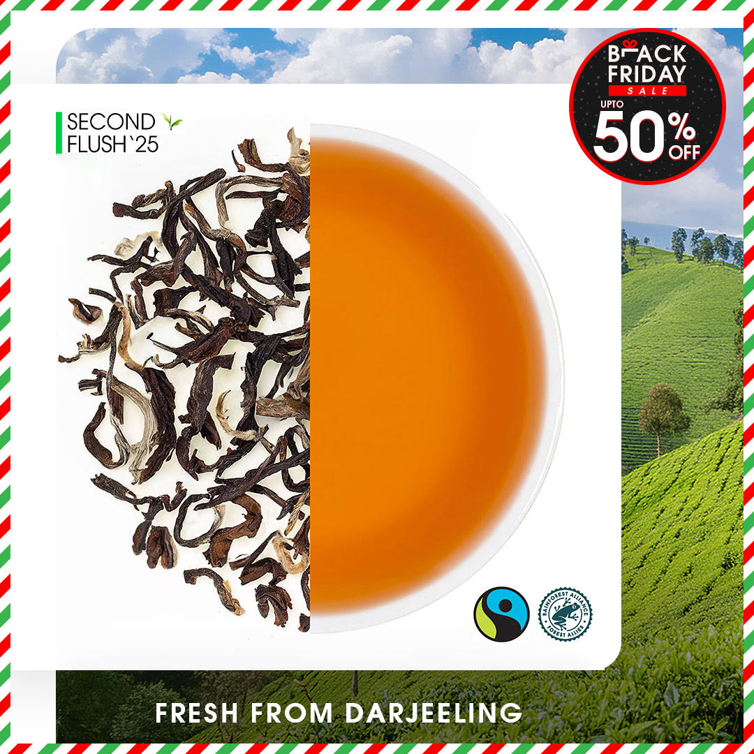 Darjeeling Samabeong Summer Muscatel Black (Limited Edition)