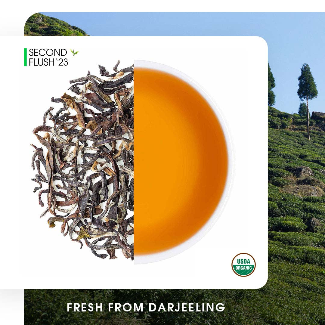 Buy Darjeeling Tea Online | 2024 Harvest | Teabox