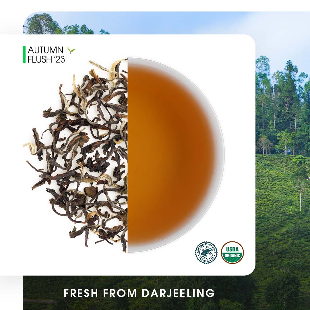 Darjeeling Singbulli Autumn Clonal Black (Limited Edition)