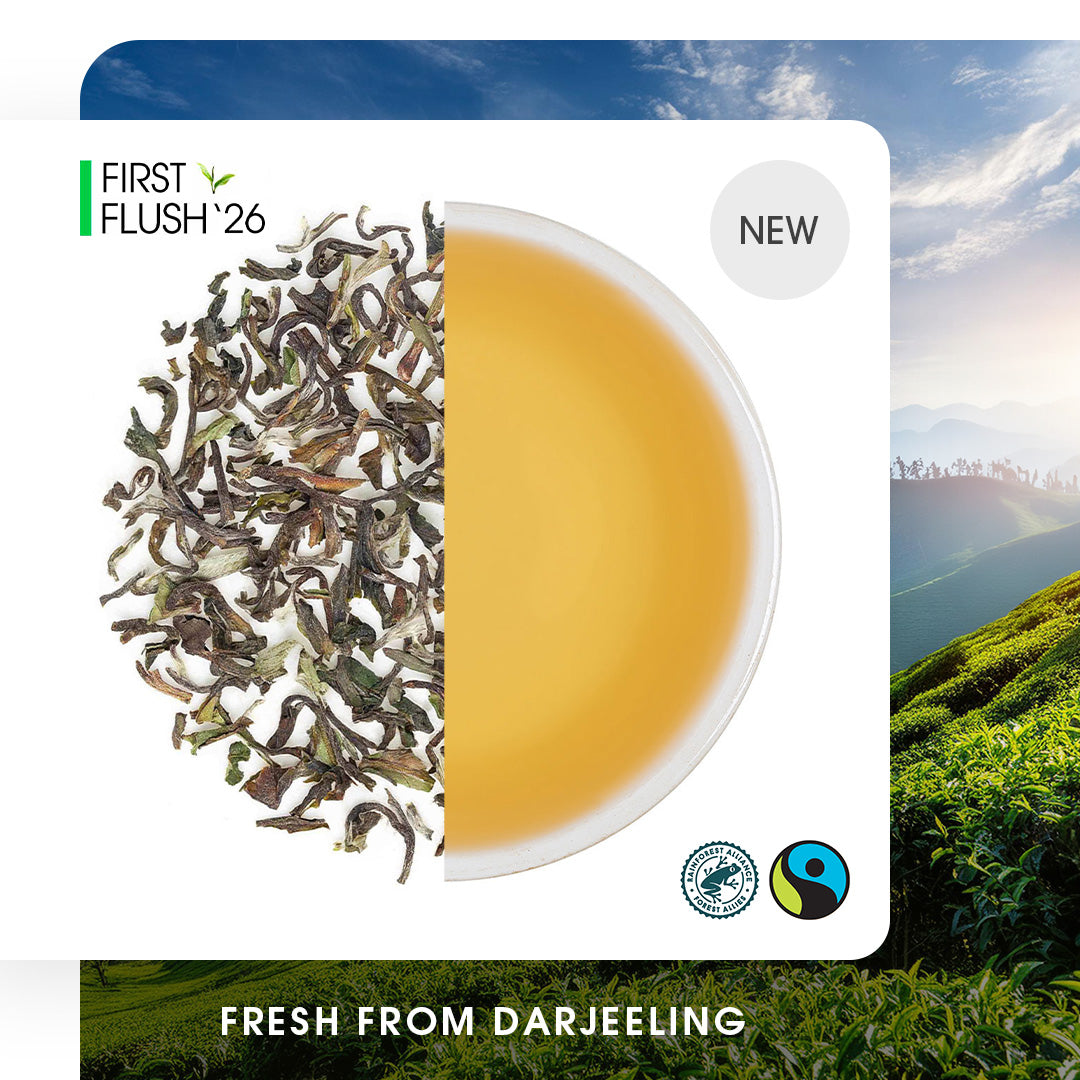 Darjeeling Snowview Spring Clonal Black