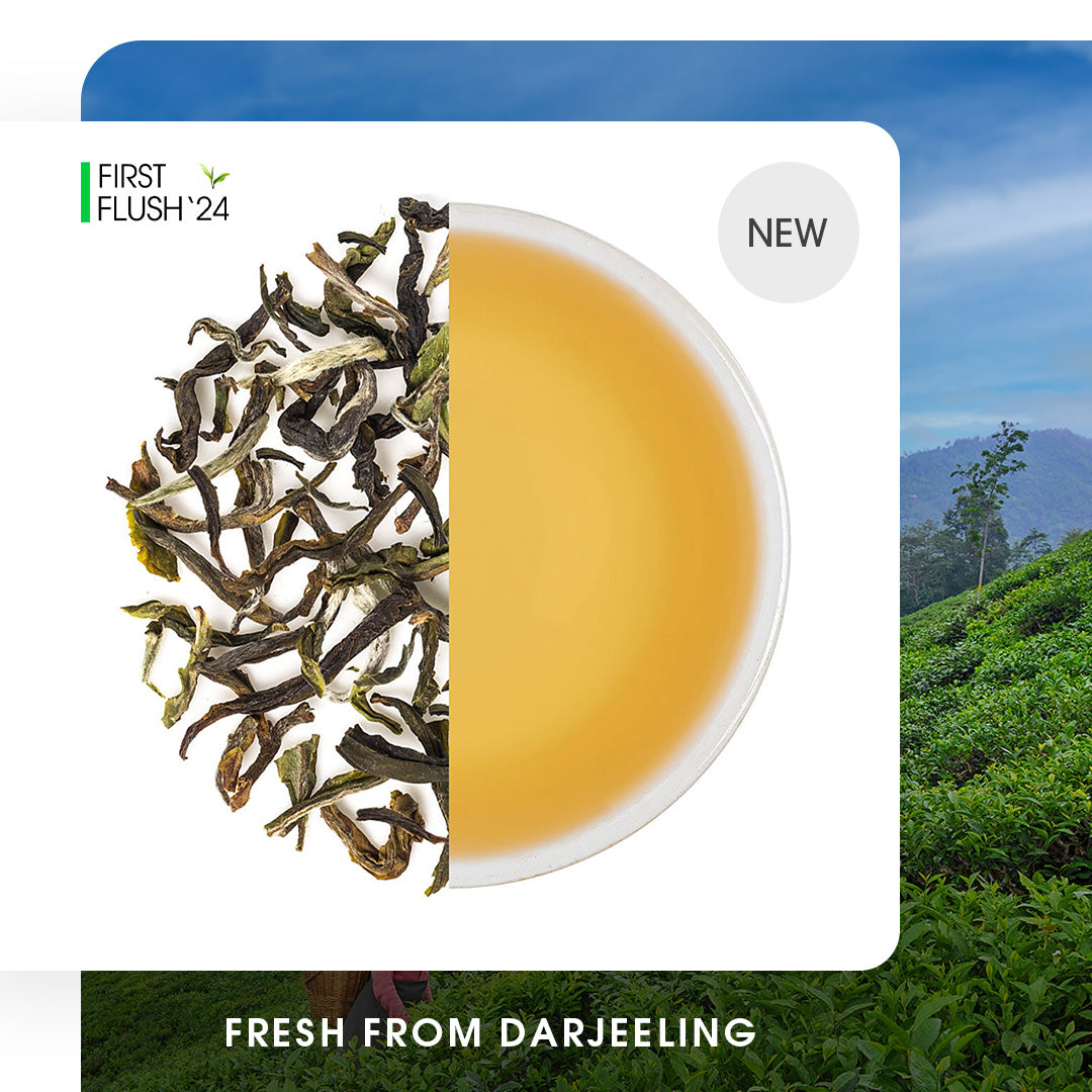 Buy Black Tea Leaves Online | 2024 Harvest | Teabox