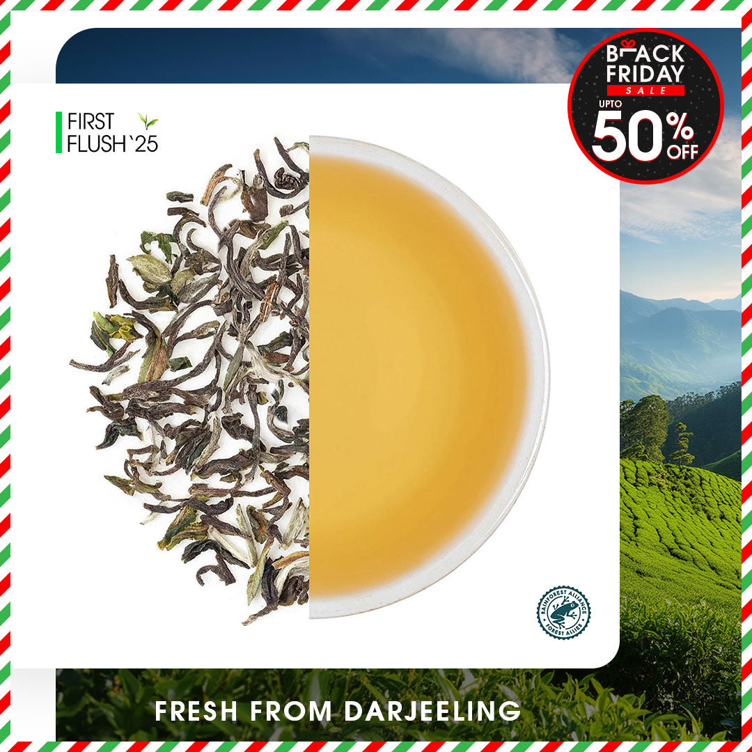 Darjeeling Thurbo Spring Chinary Black