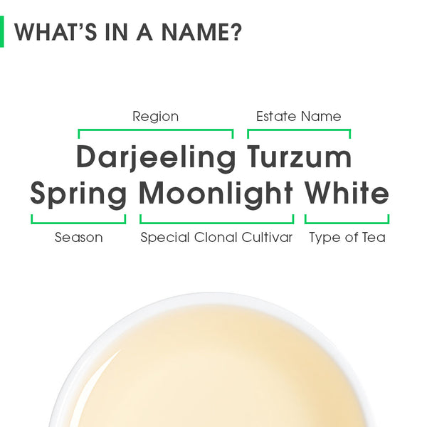 Darjeeling Turzum Spring Moonlight White