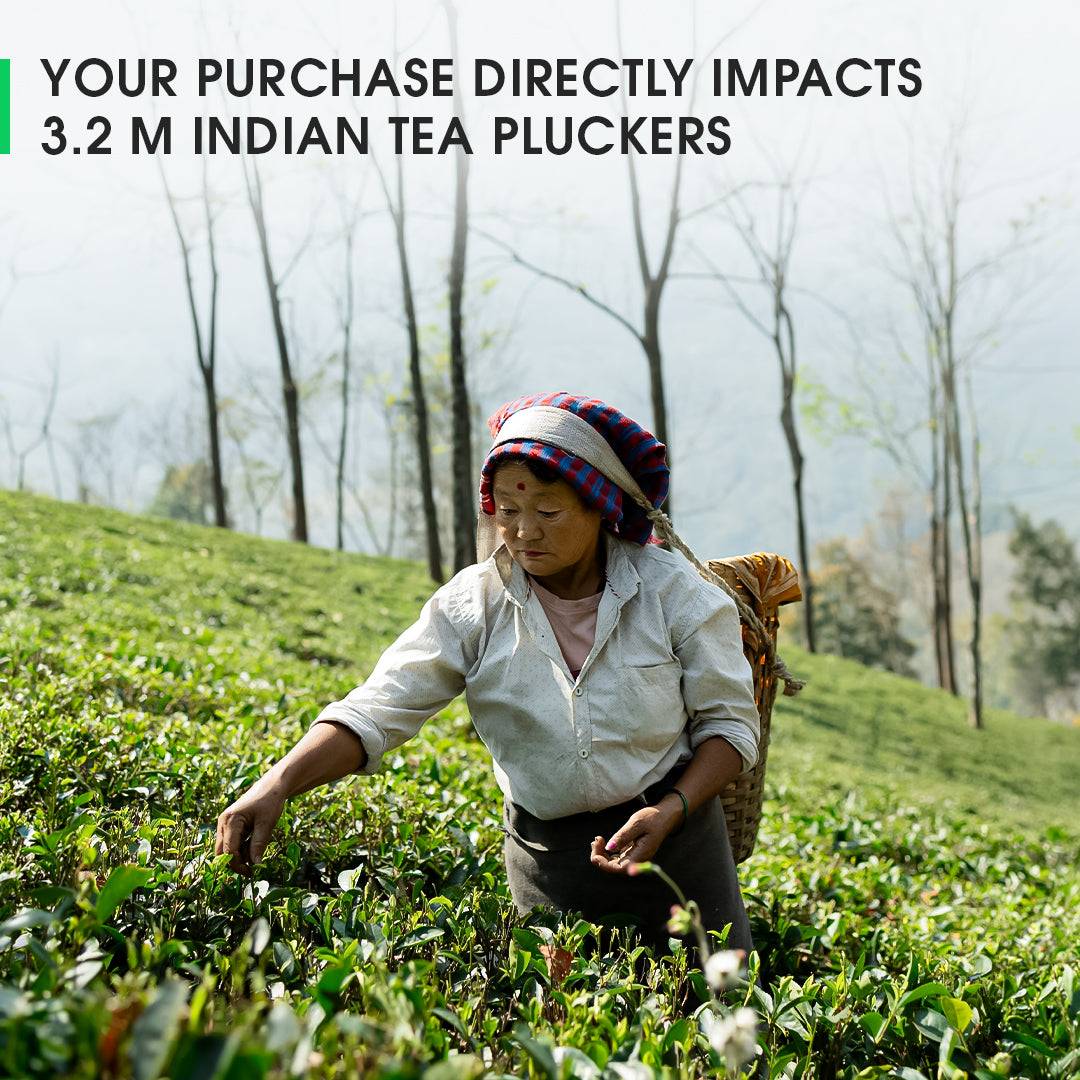 Darjeeling Upper Namring Spring Clonal Black (Limited Edition)